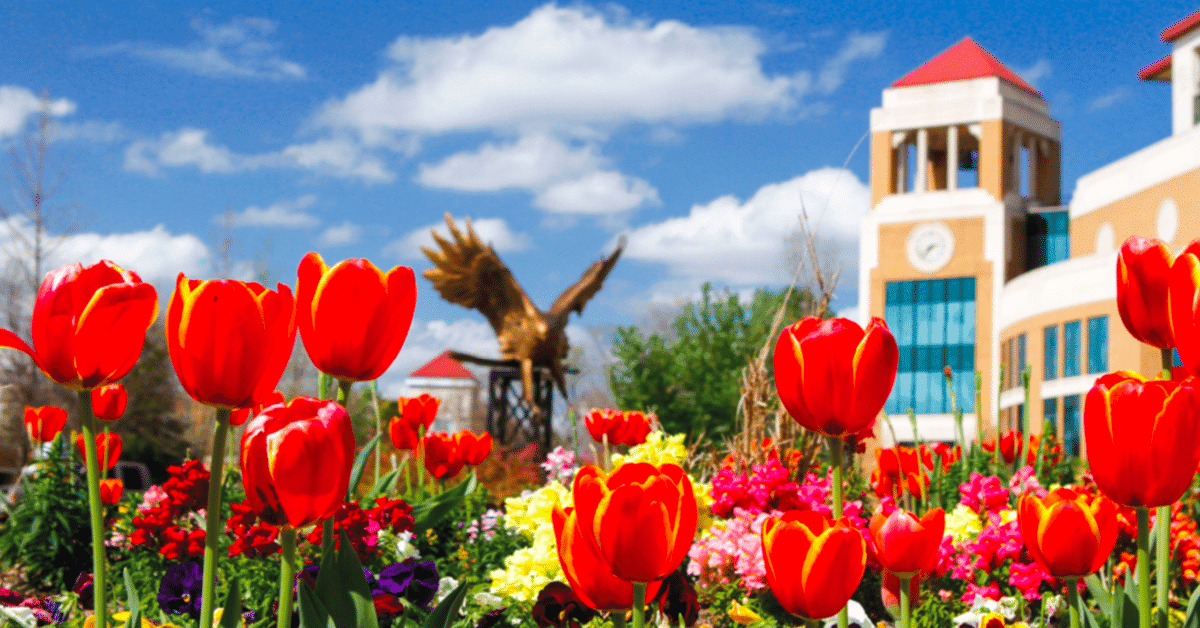 Bridging the Gap Between Community and University