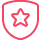 protection shield