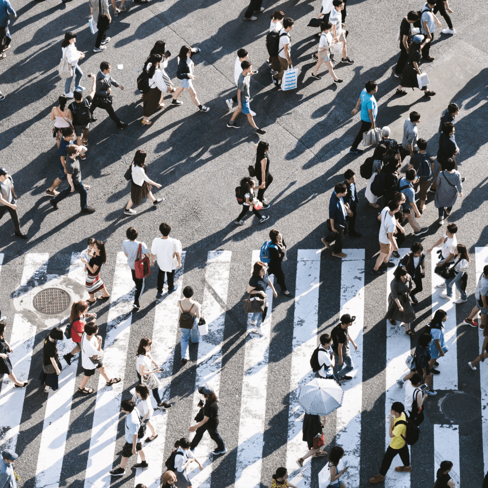 crowd in crosswalk