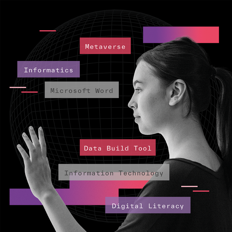 Digital Skills Data Download