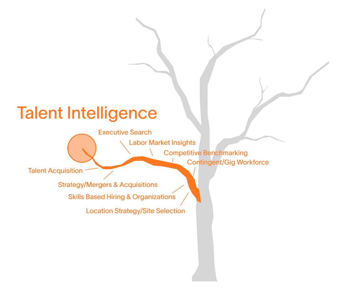 Talent intelligence illustration