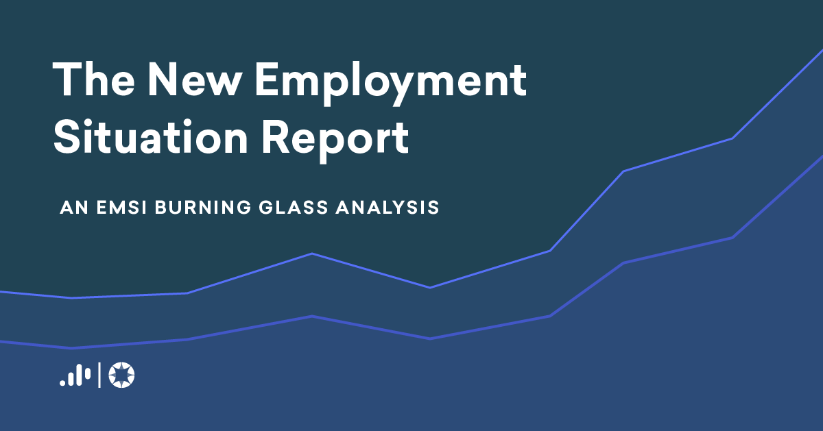 The November Employment Situation Report