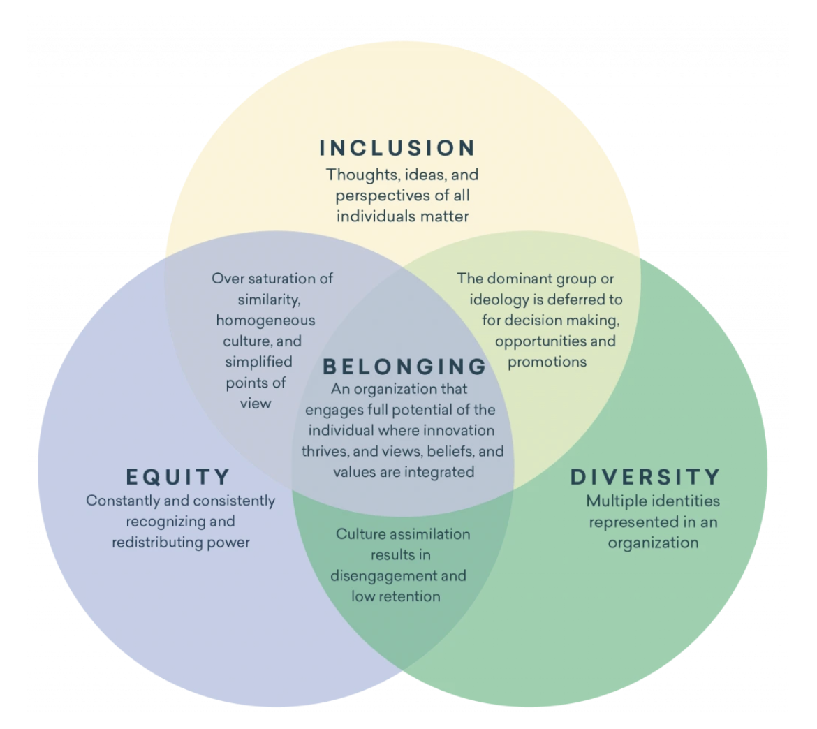 Venn diagram of workforce diversity goals