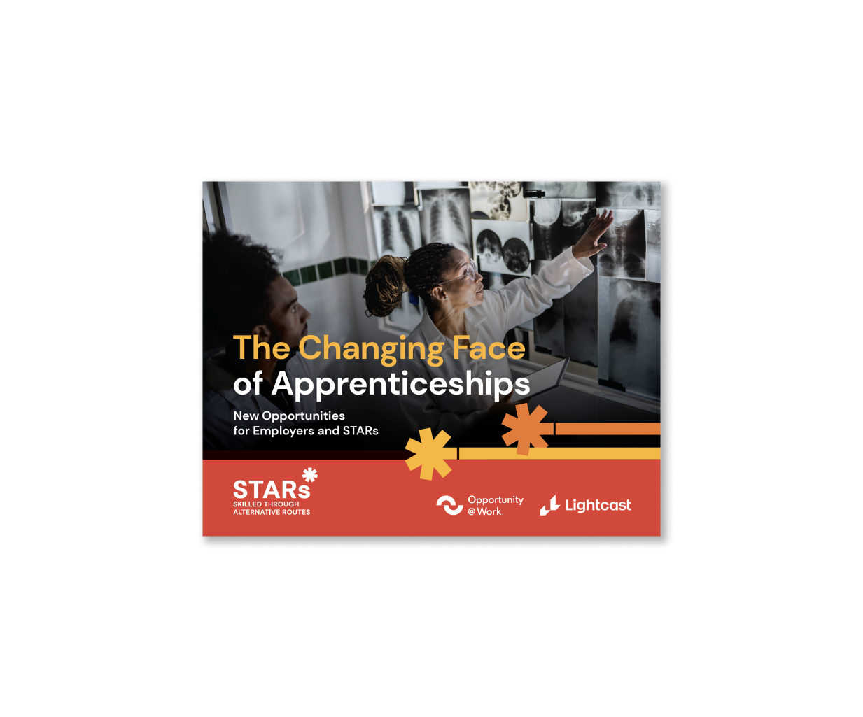 The Changing Face of Apprenticeships PDF